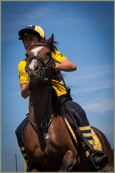 Mounted Games 170